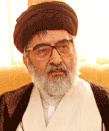 سیدهادی خسروشاهی در گفتوگو با تاریخ ایرانی: الگوی نواب صفوی با مصباح یزدی تفاوت دارد